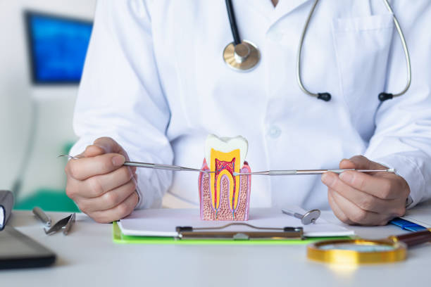 Best Dentist for Dental Trauma  in Darlington, SC